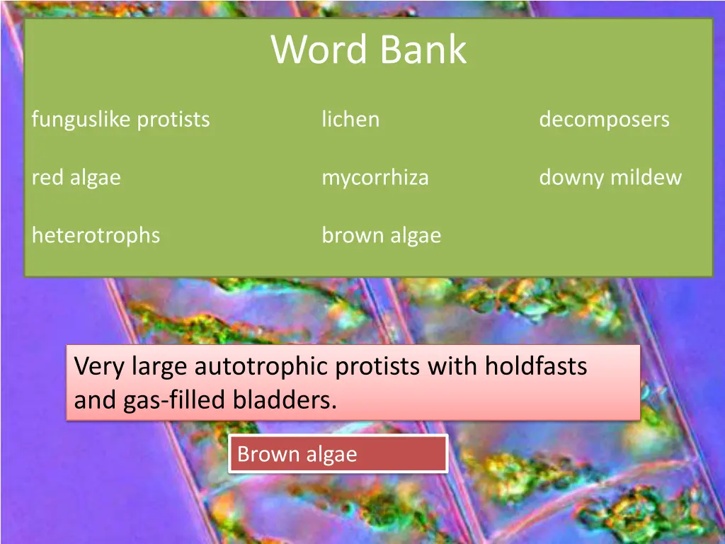 word bank 4