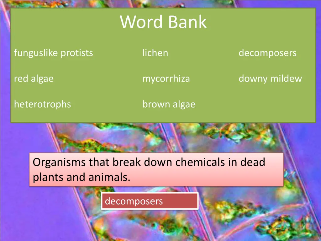 word bank 5