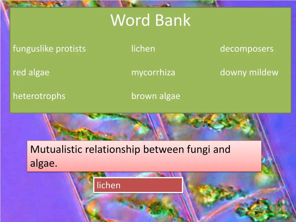 word bank 6