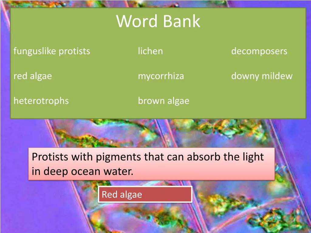 word bank 7