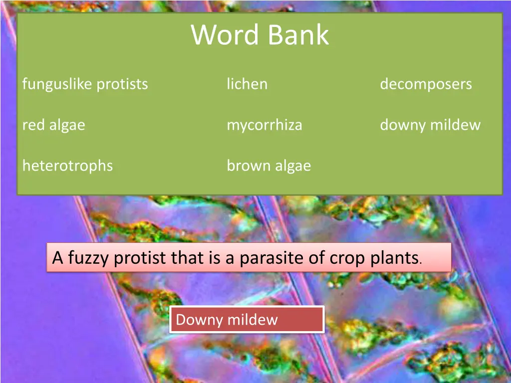 word bank