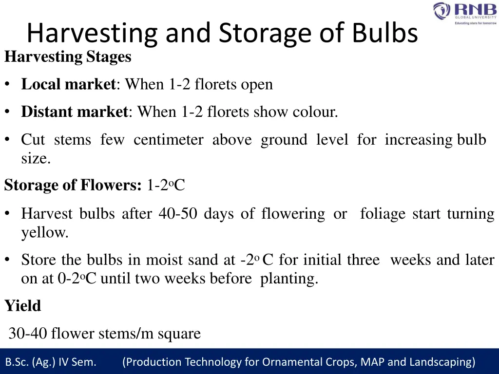 harvesting and storage of bulbs