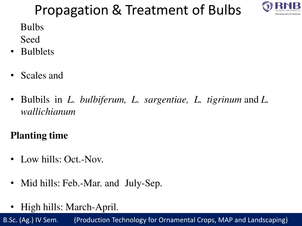 propagation treatment of bulbs bulbs seed bulblets