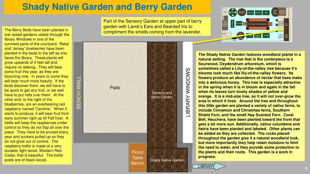 shady native garden and berry garden