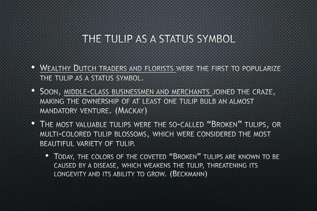 the tulip as a status symbol