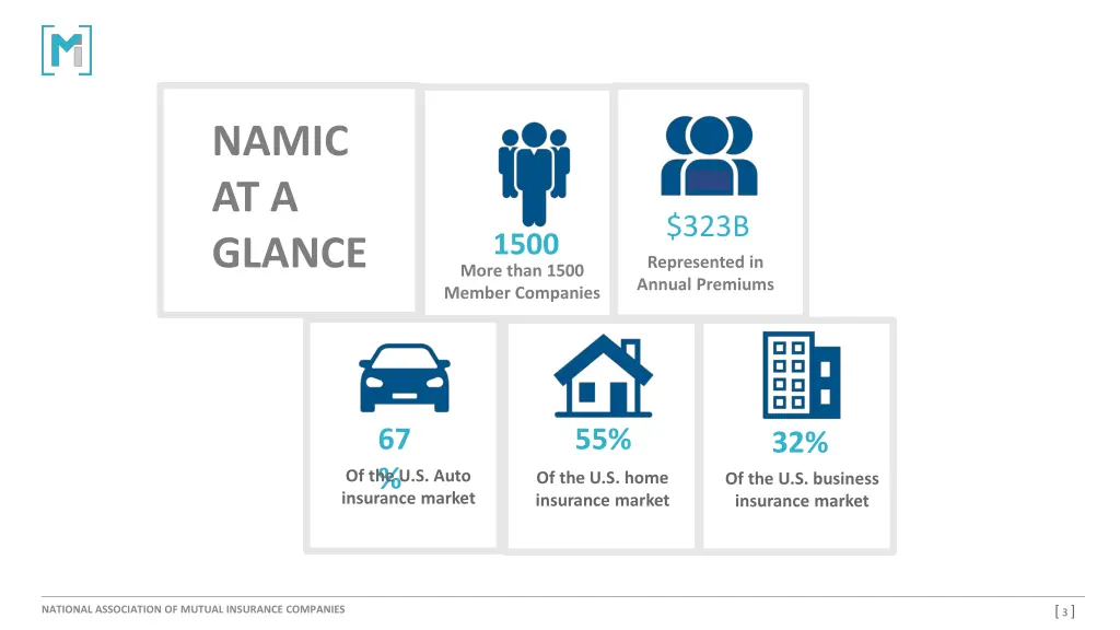 namic at a glance