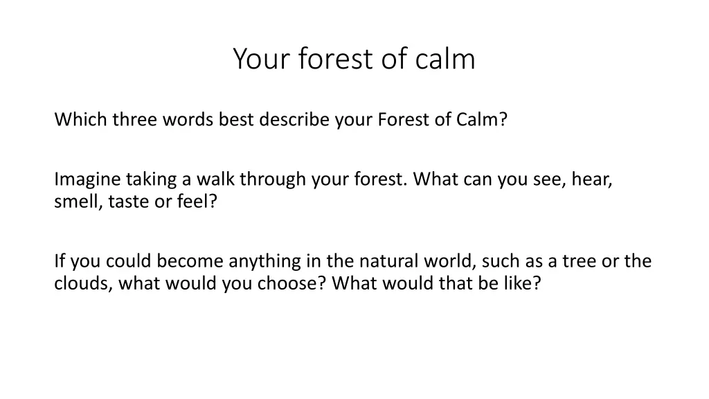 your forest of calm