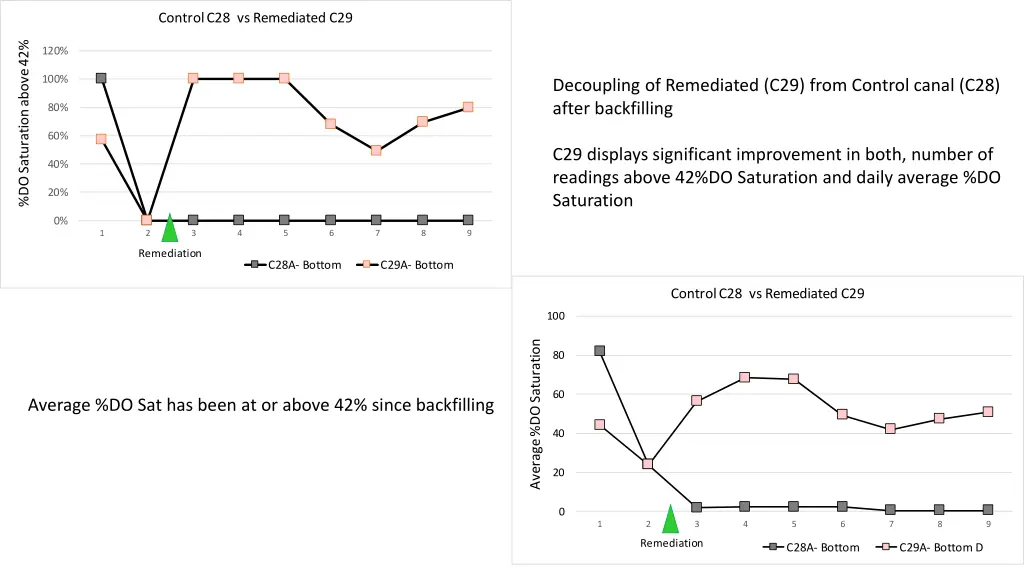 control c28 vs remediated c29