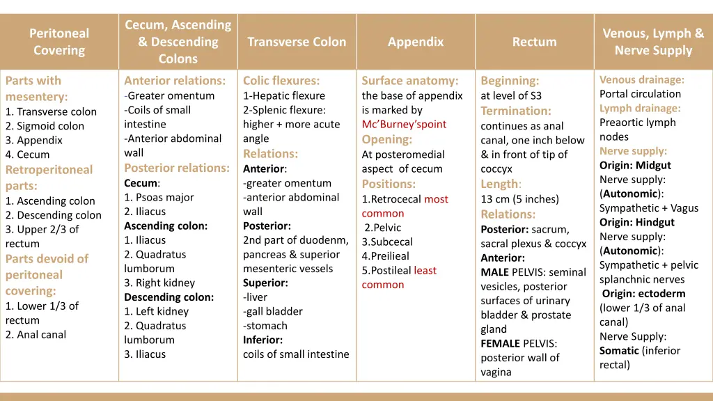 cecum ascending descending colons