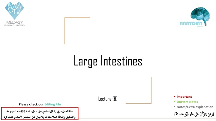 large intestines