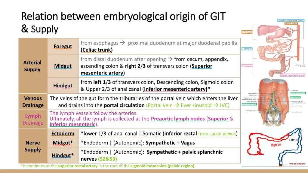 relation between embryological origin