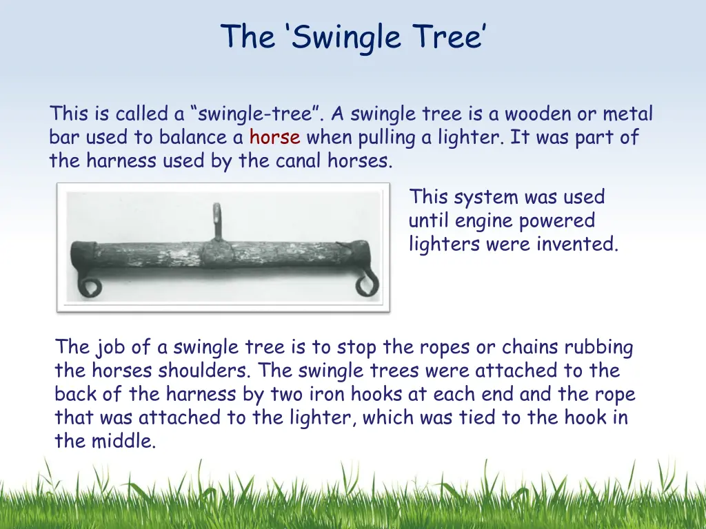 the swingle tree