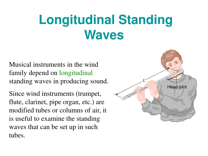 longitudinal standing waves