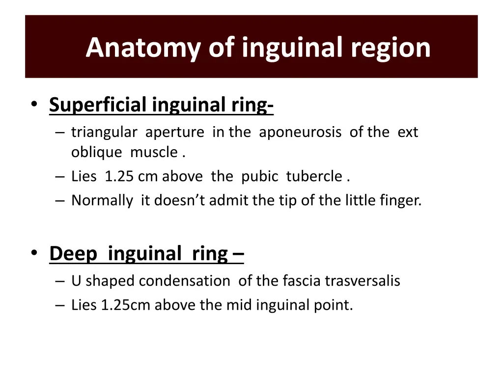 anatomy of inguinal region