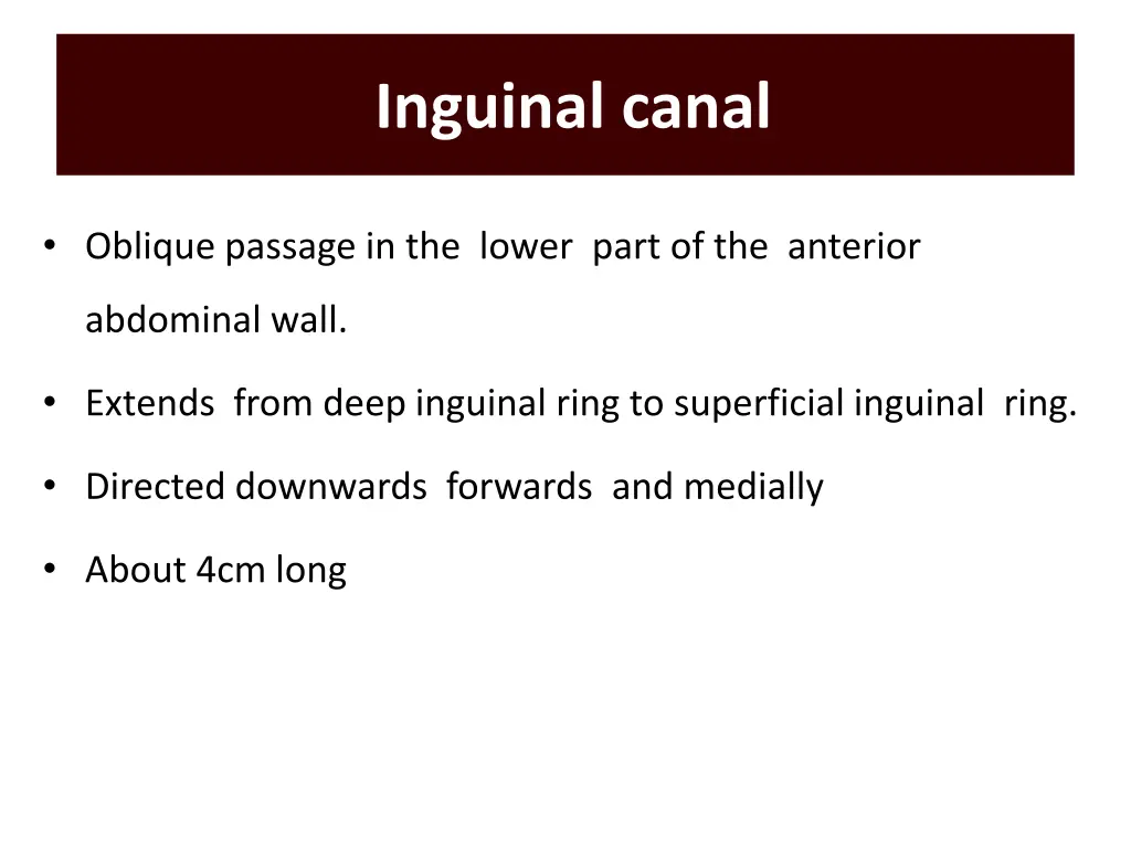 inguinal canal