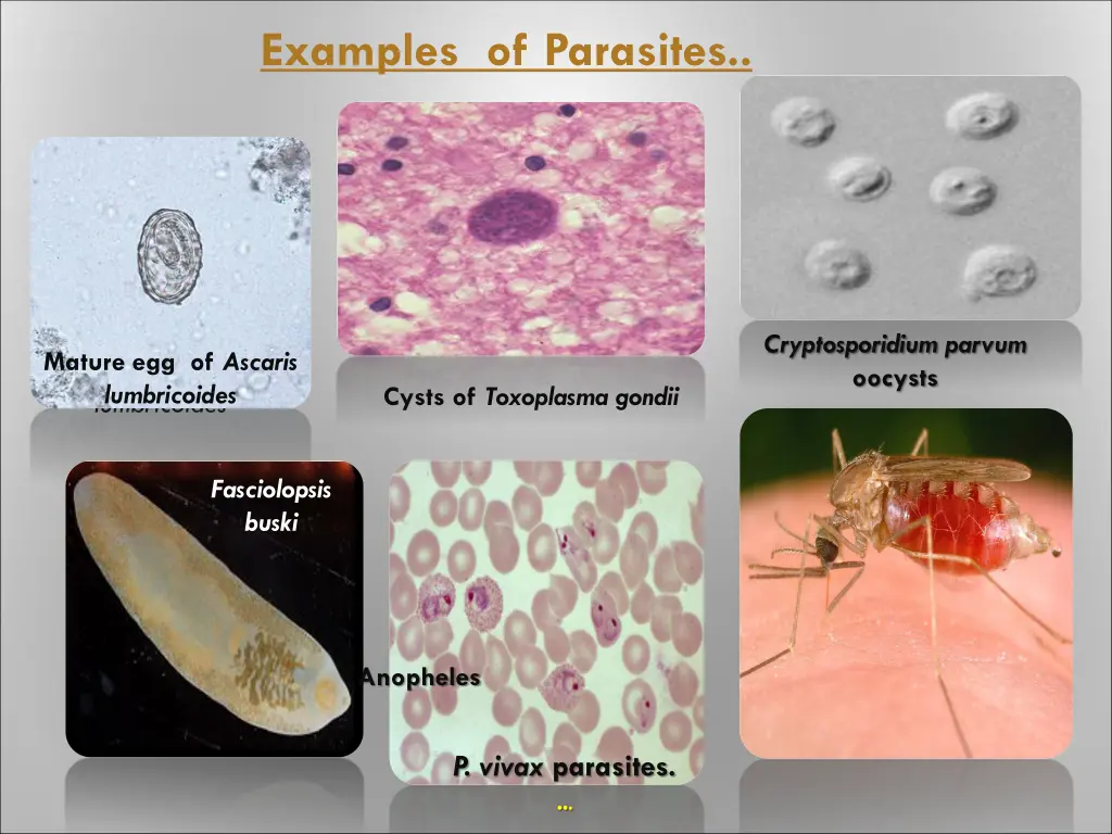 examples of parasites