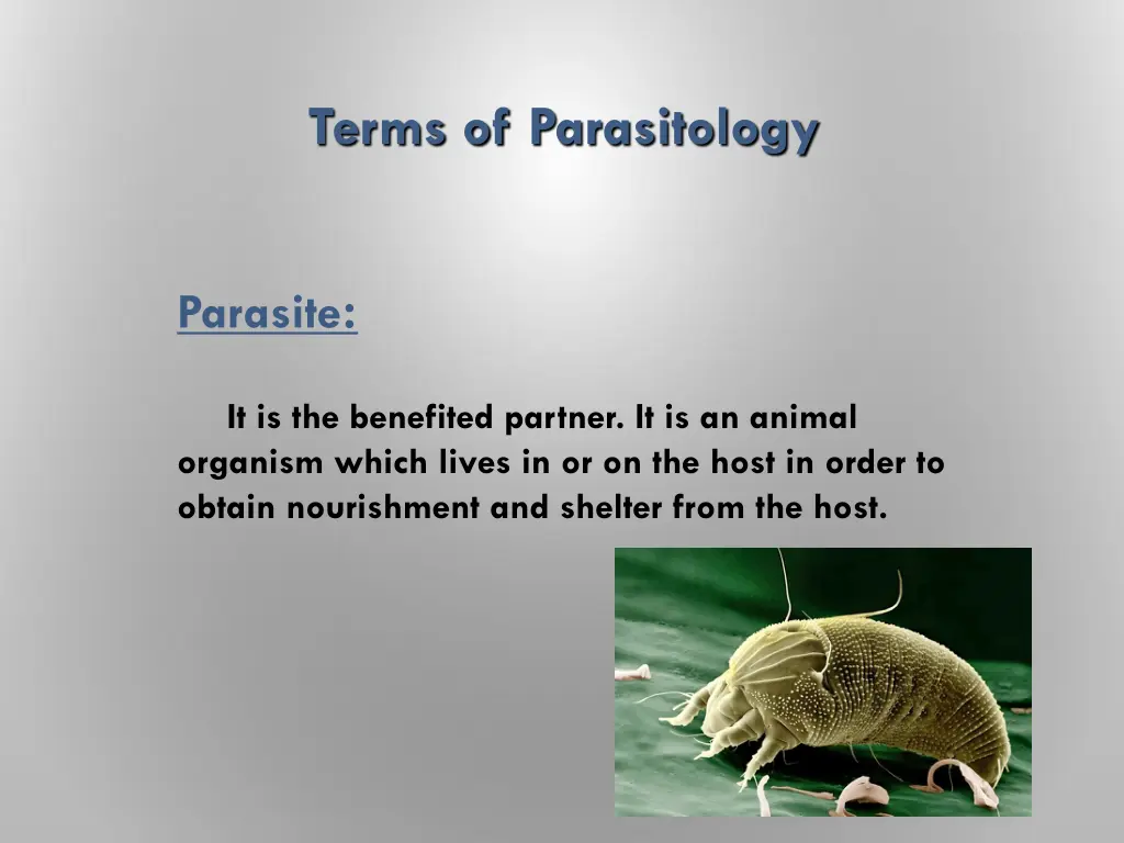 terms of parasitology