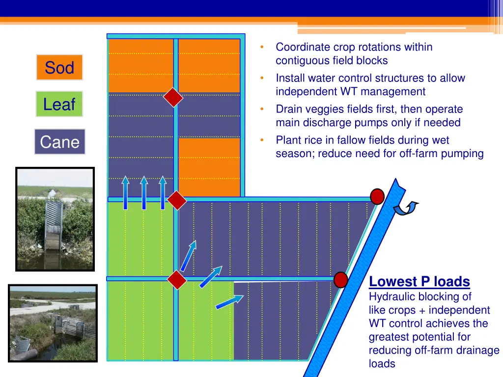 coordinate crop rotations within contiguous field