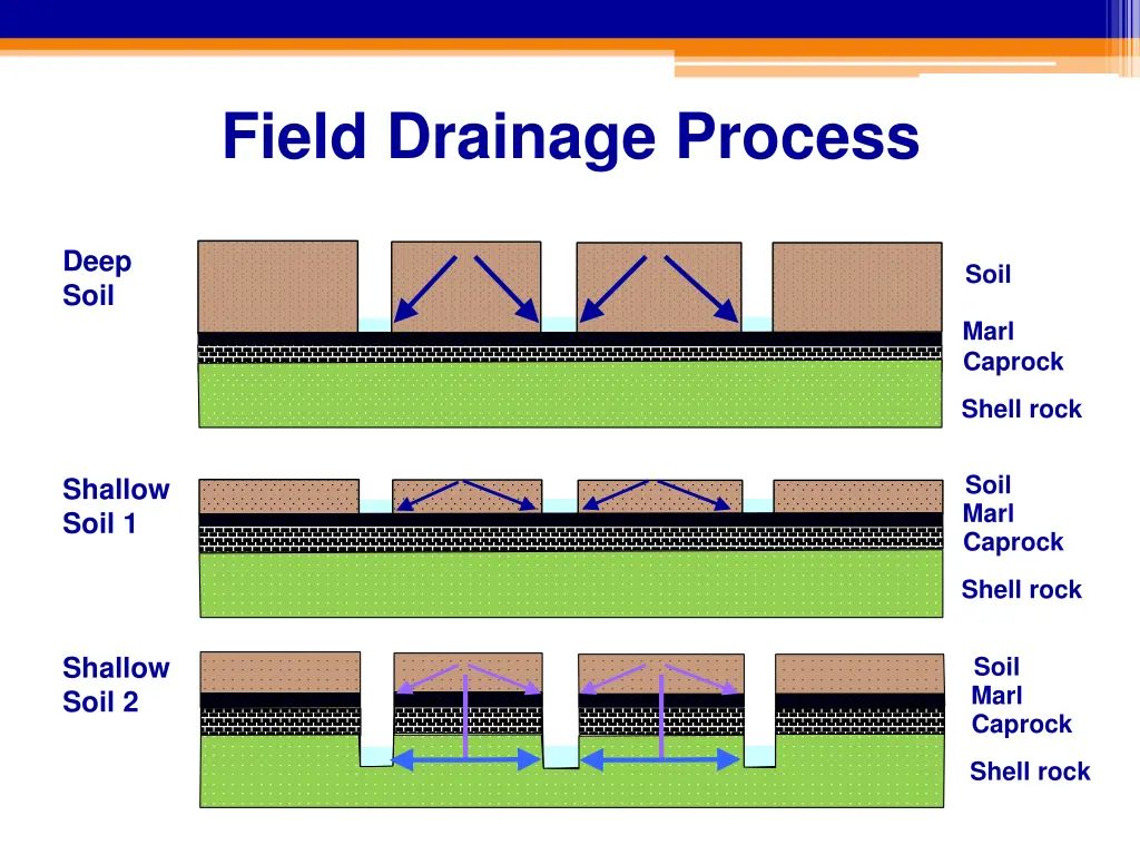 field drainage process