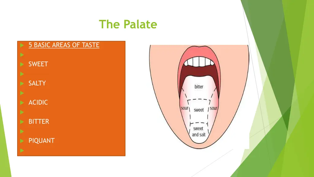 the palate