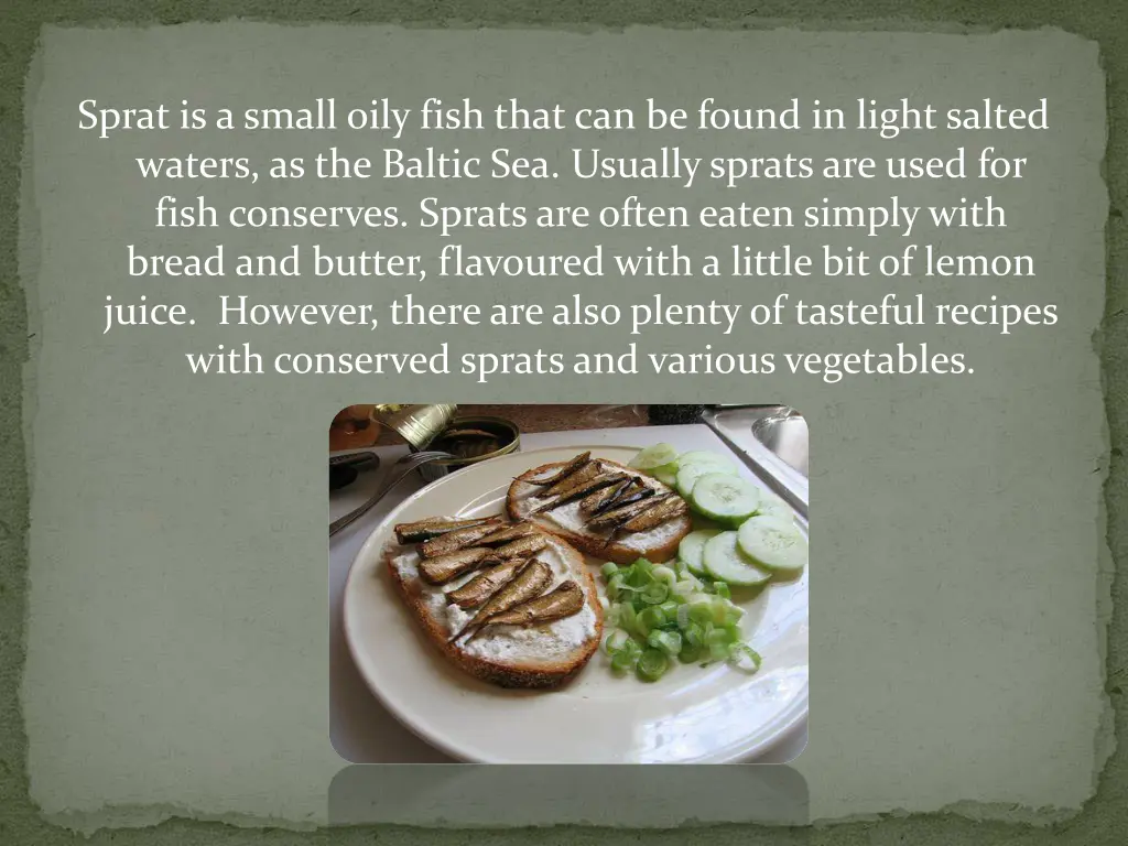 sprat is a small oily fish that can be found