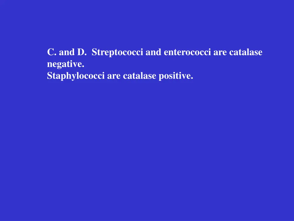 c and d streptococci and enterococci are catalase