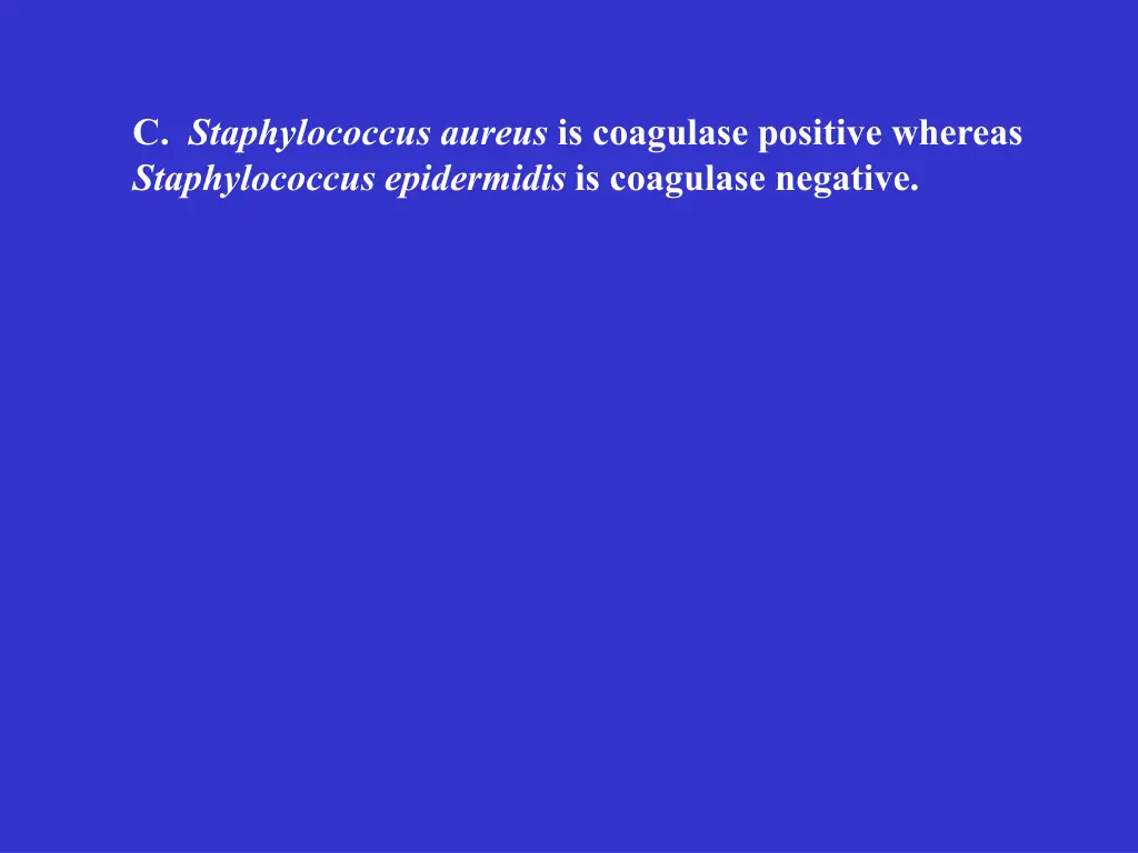 c staphylococcus aureus is coagulase positive