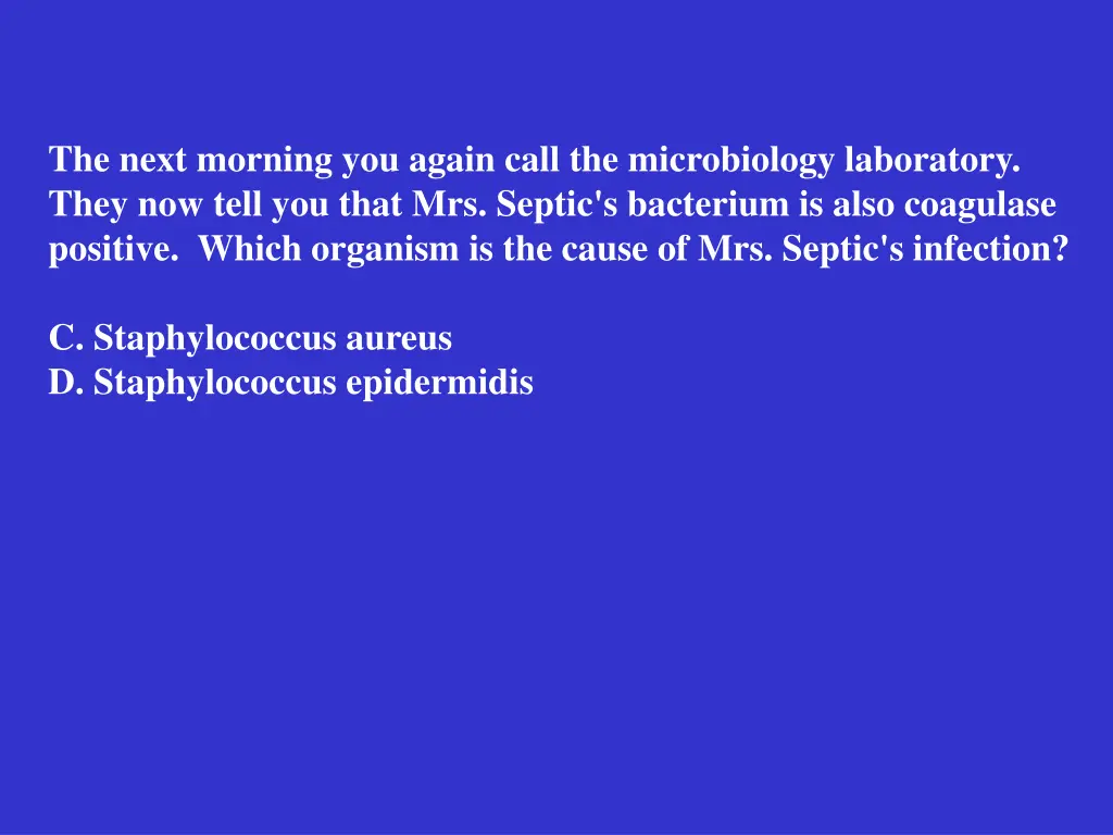 the next morning you again call the microbiology