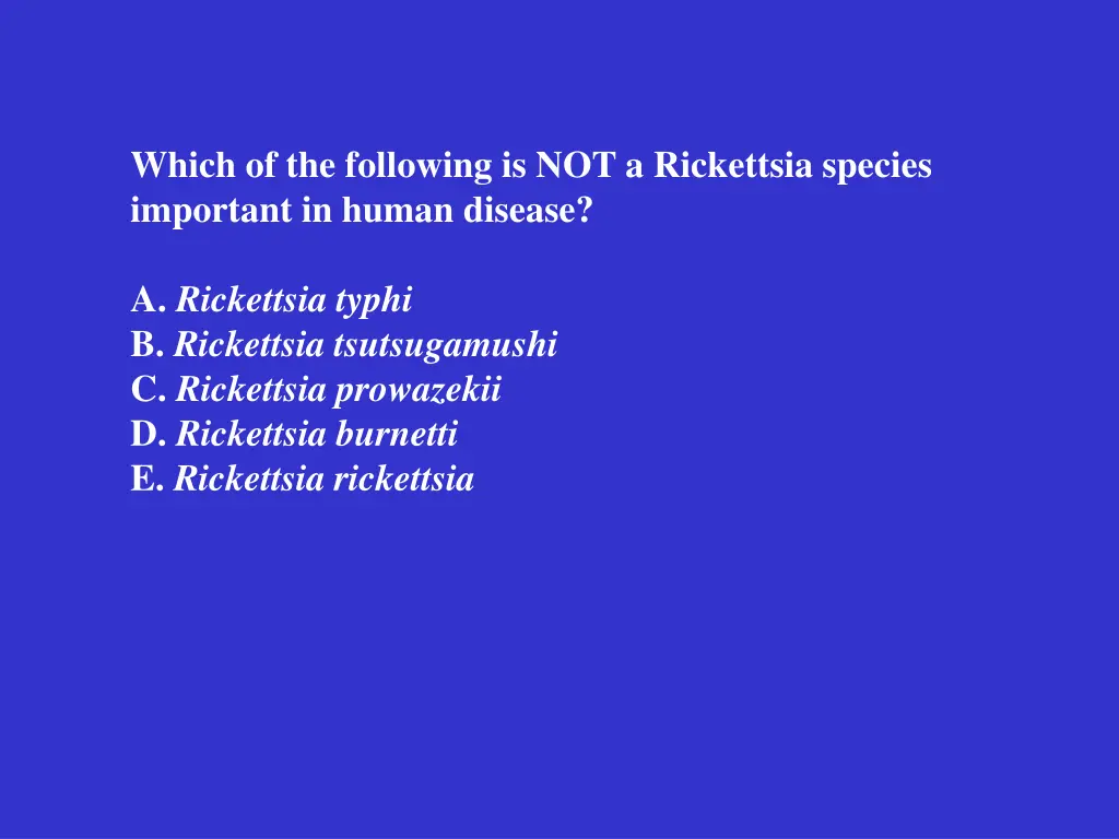 which of the following is not a rickettsia