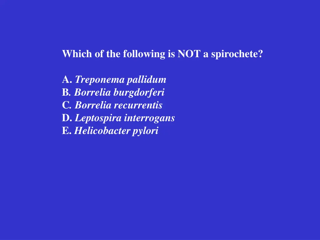 which of the following is not a spirochete