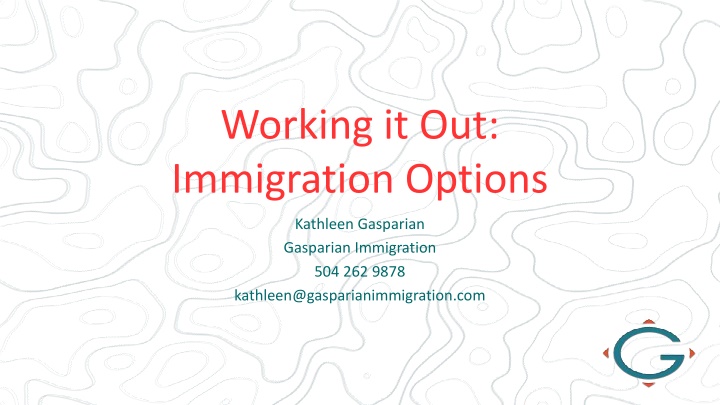 working it out immigration options