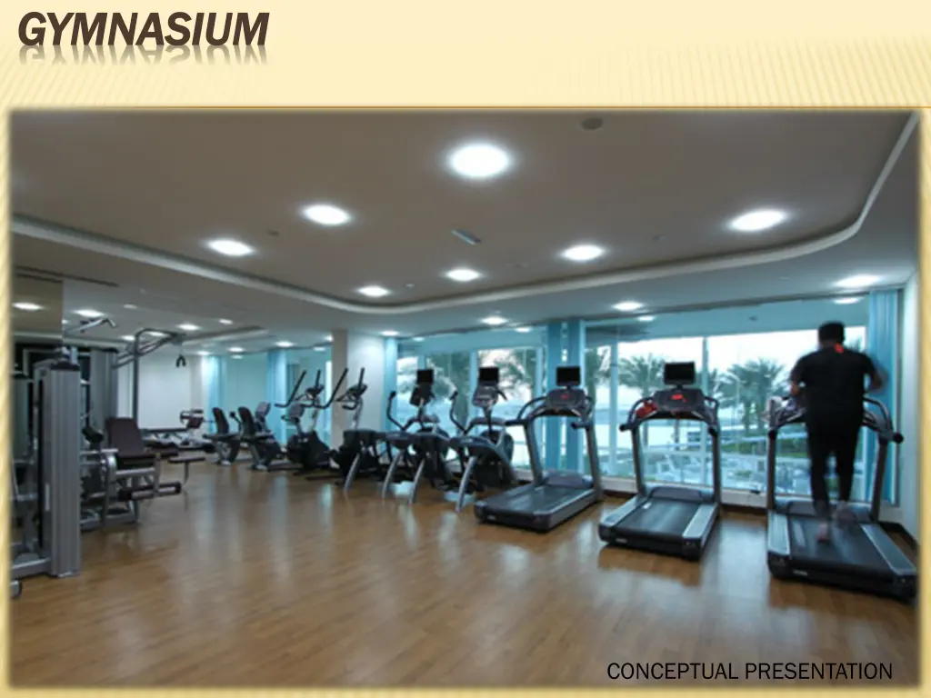 gymnasium gymnasium