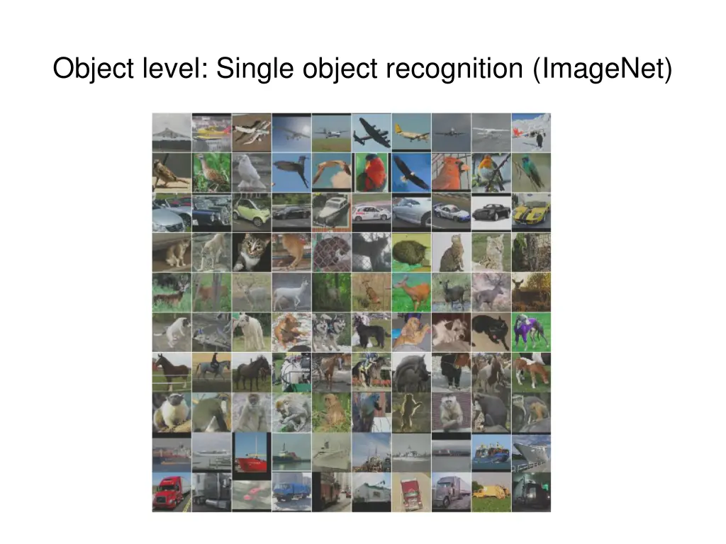 object level single object recognition imagenet