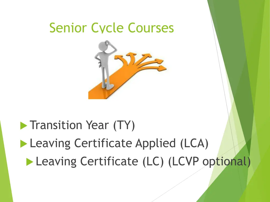 senior cycle courses