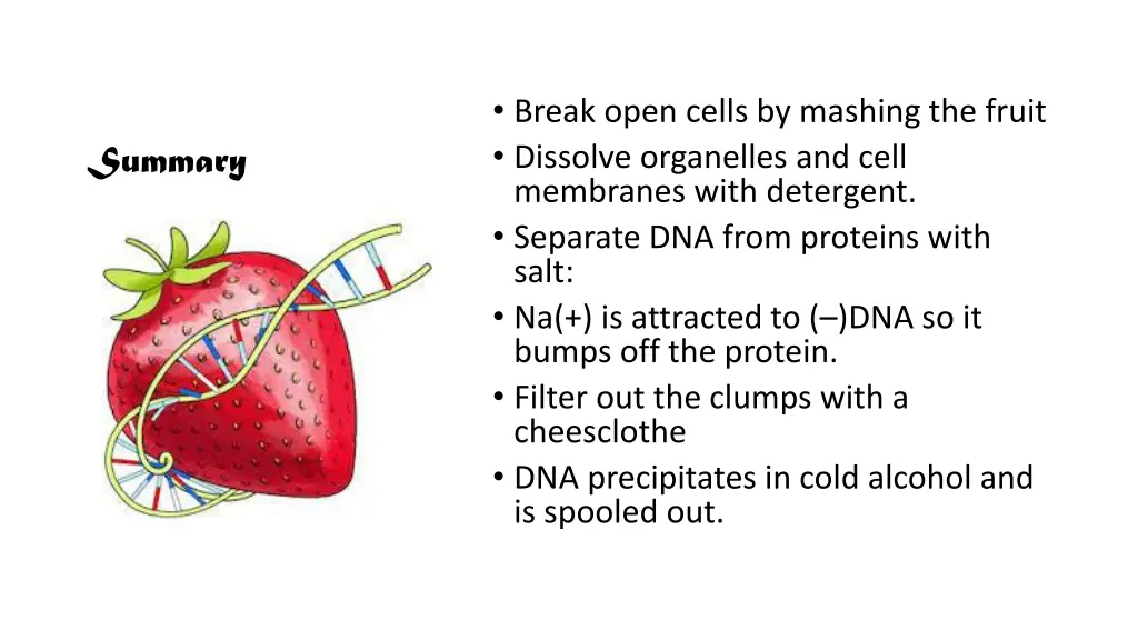 break open cells by mashing the fruit dissolve