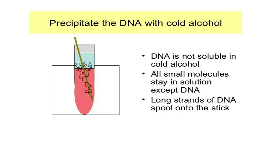 slide7