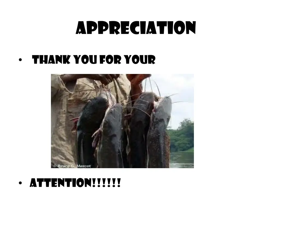 appreciation