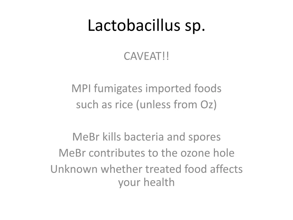 lactobacillus sp 2