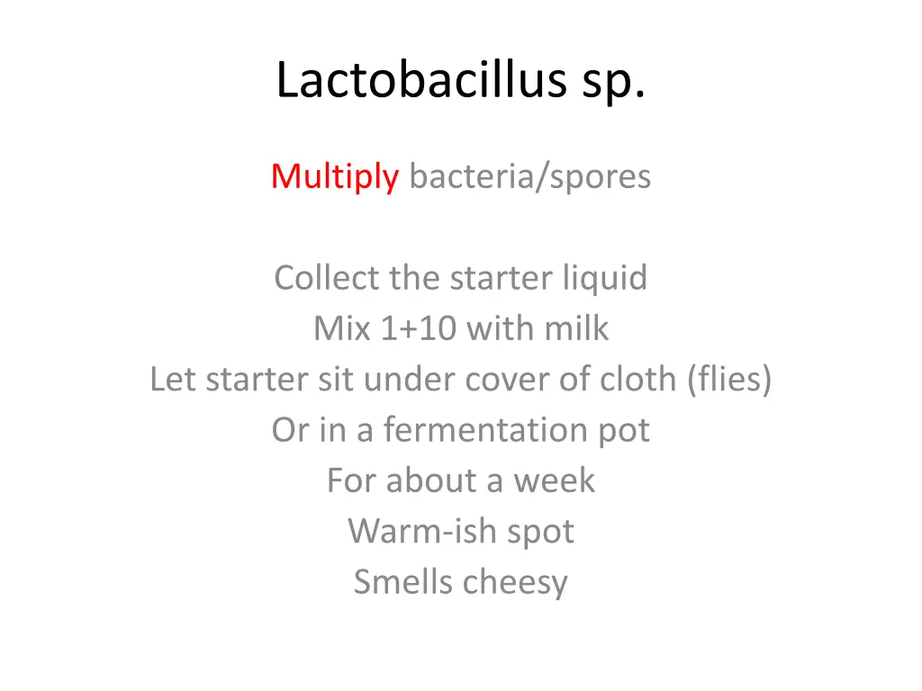 lactobacillus sp 5