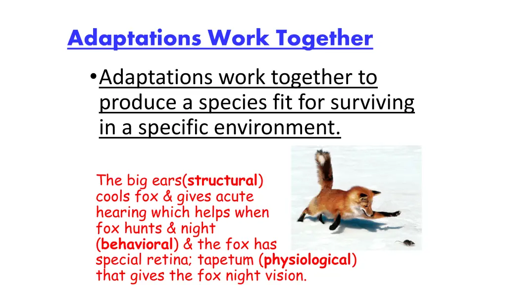 adaptations work together