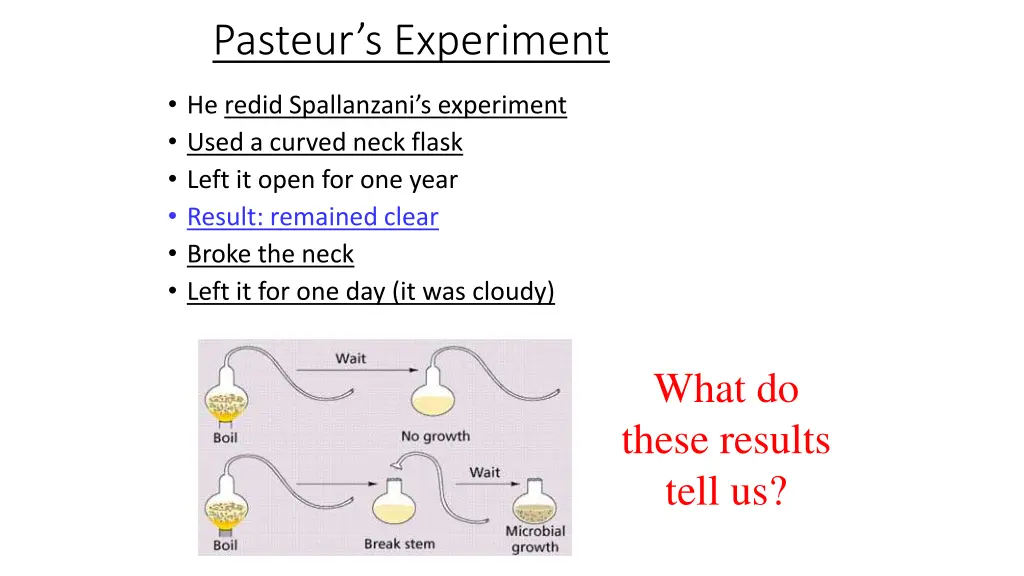 pasteur s experiment