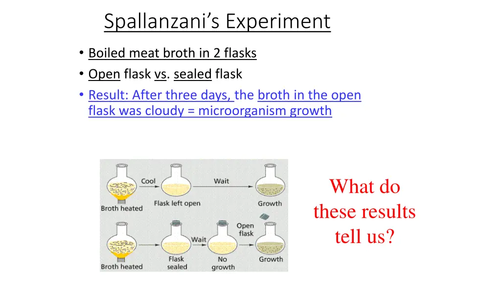 spallanzani s experiment