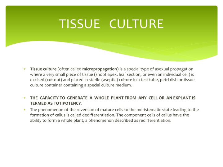 tissue culture