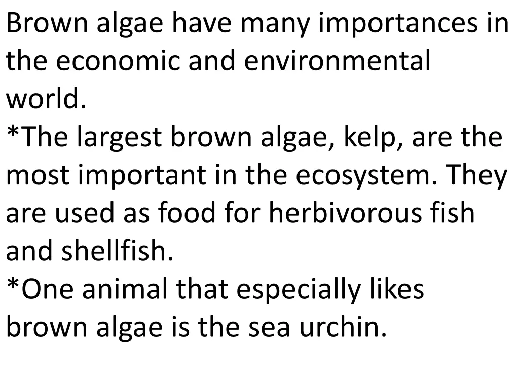 brown algae have many importances in the economic