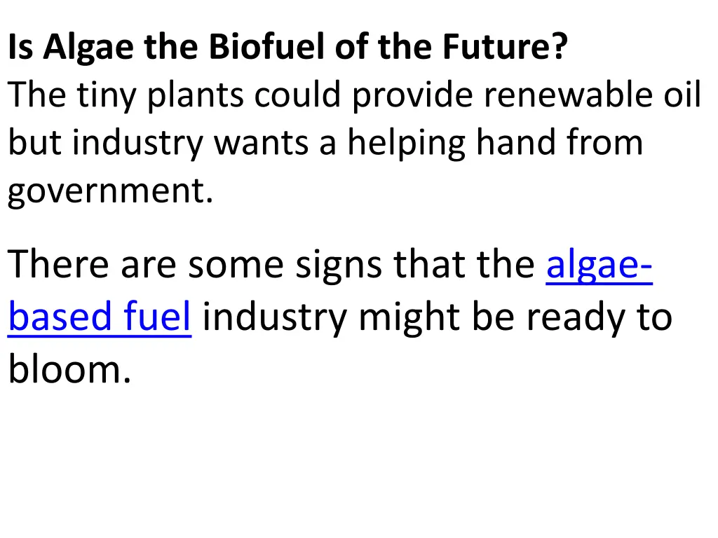 is algae the biofuel of the future the tiny