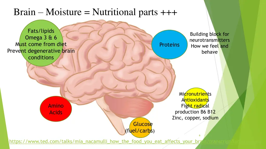 brain moisture nutritional parts