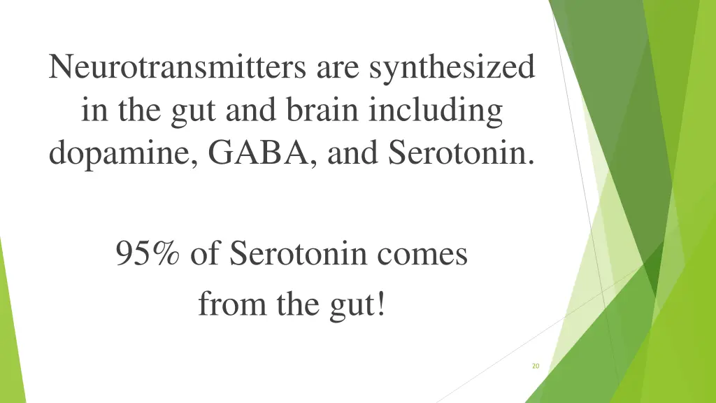 neurotransmitters are synthesized