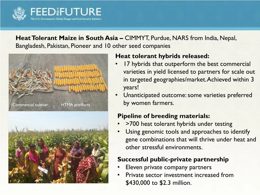 heat tolerant maize in south asia cimmyt purdue