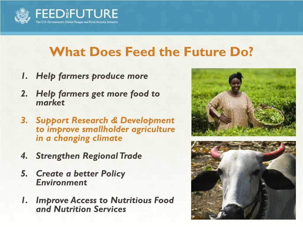 what does feed the future do