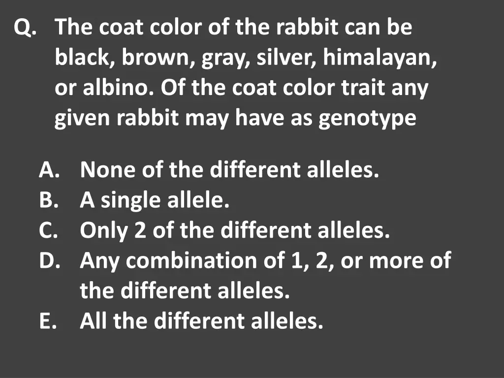 q the coat color of the rabbit can be black brown